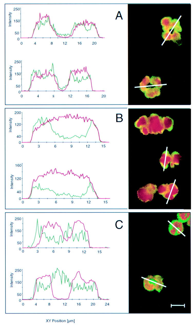 Figure 1  