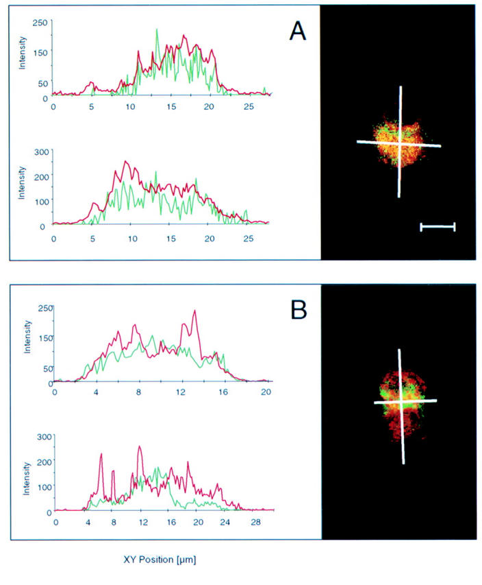 Figure 2  