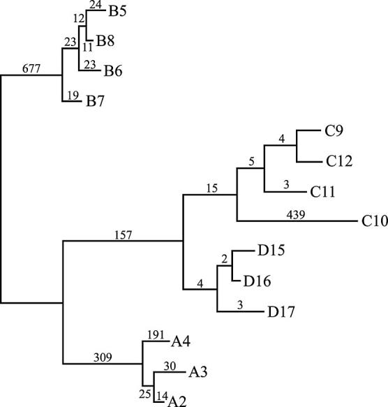 Fig. 2