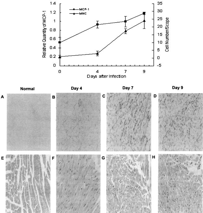 FIG. 3.