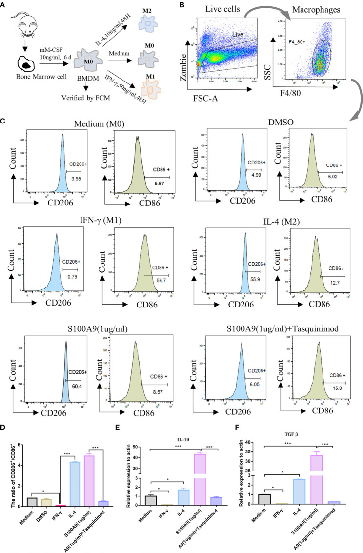 Figure 3