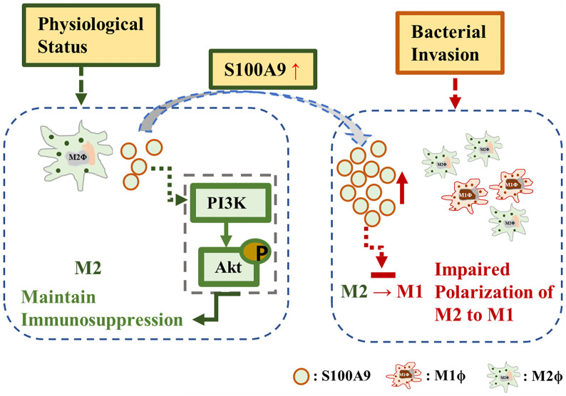 Figure 6