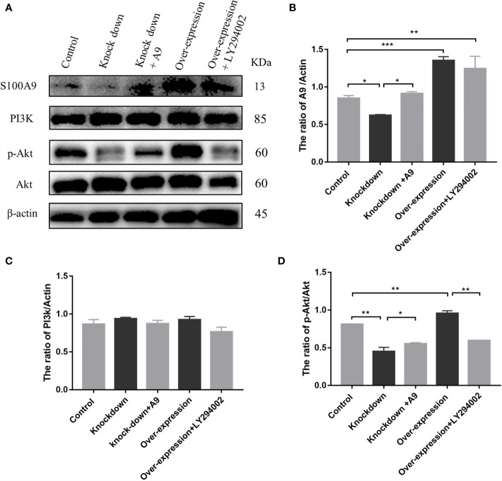 Figure 4