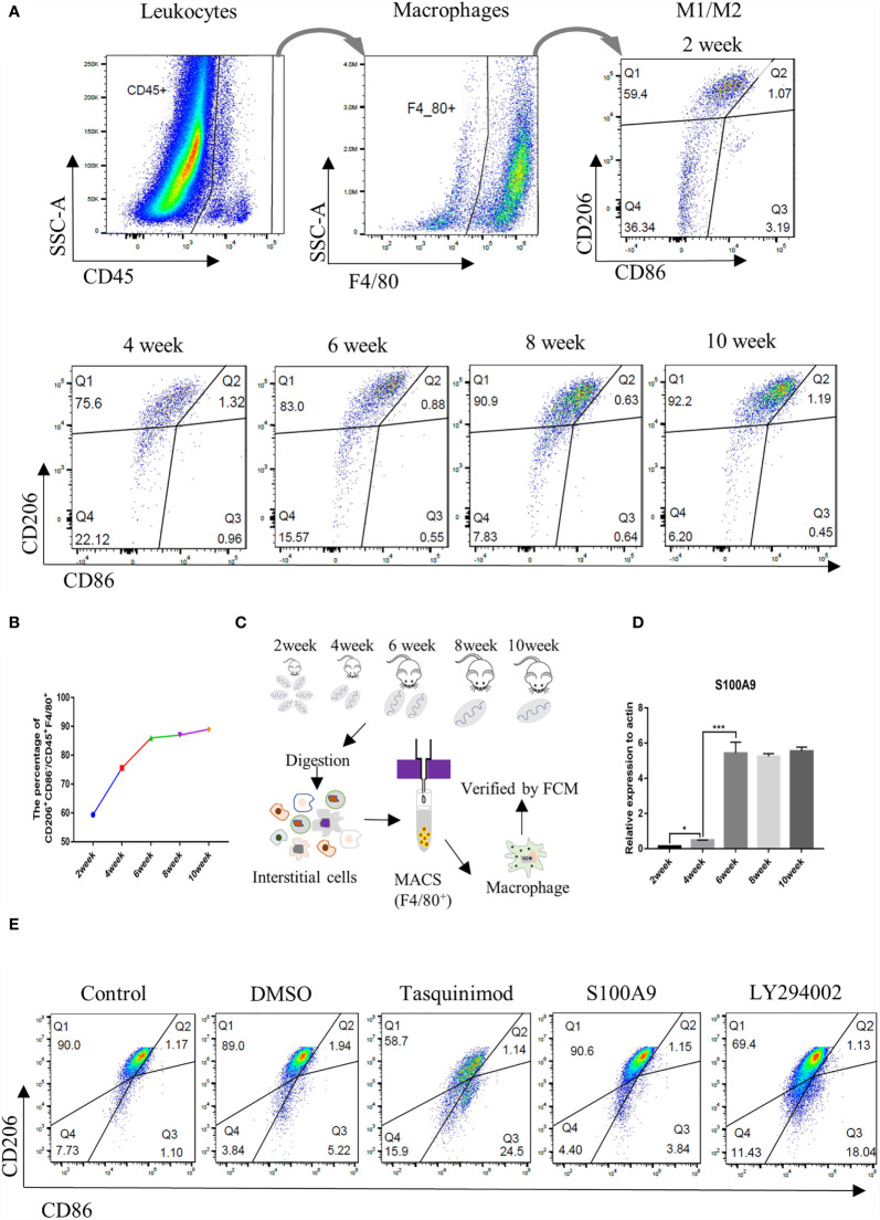 Figure 2