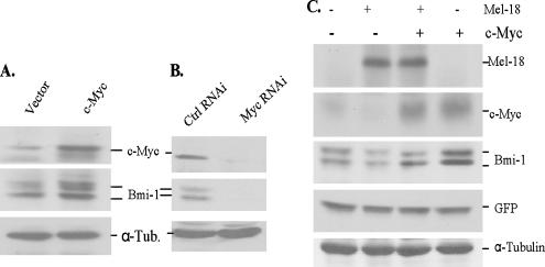 Figure 10.