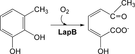 SCHEME 1.