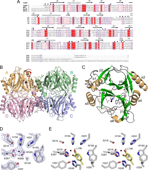 FIGURE 1.