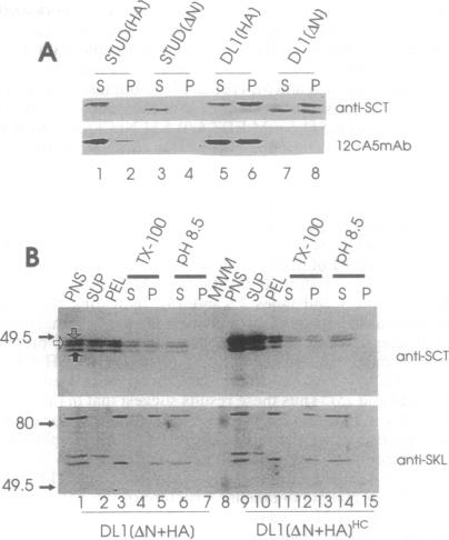 graphic file with name pnas01144-0310-a.jpg