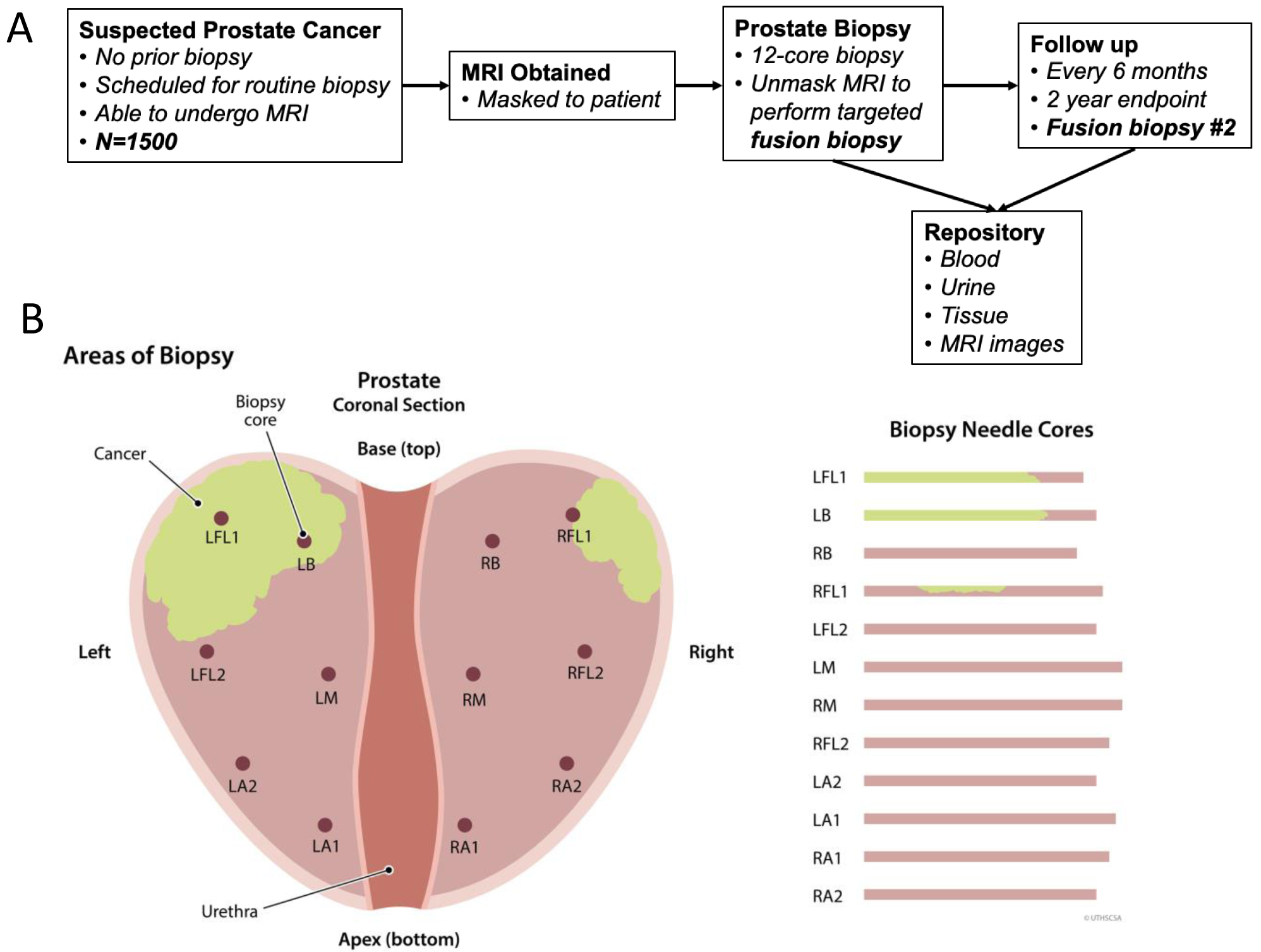 Figure 2: