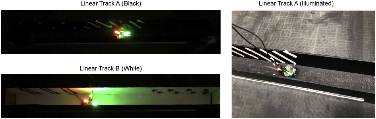 Figure 7