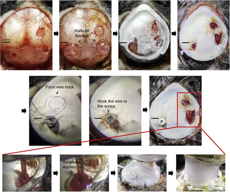 Figure 4