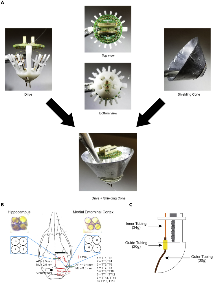 Figure 2