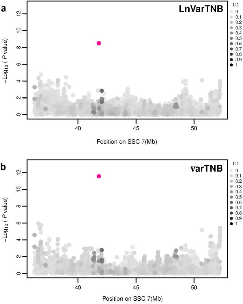 Fig. 4