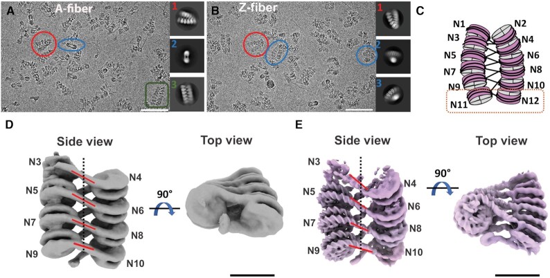 Figure 4.