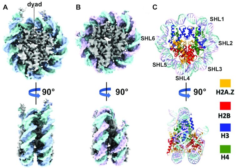 Figure 1.