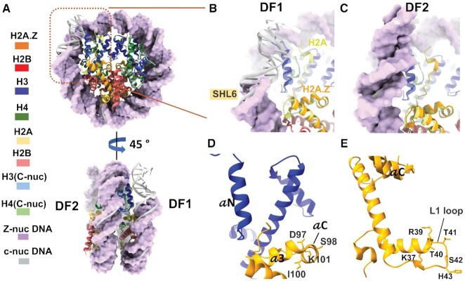 Figure 2.