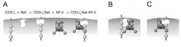 FIG. 8.