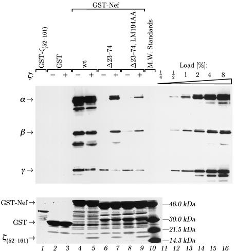 FIG. 7.