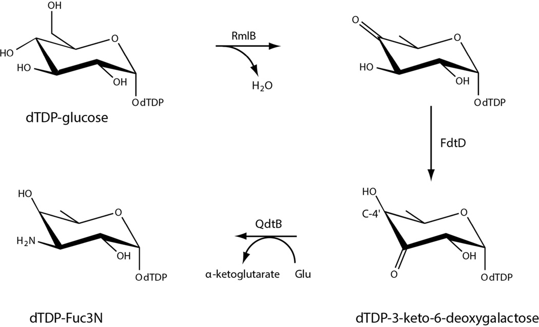 Scheme 2