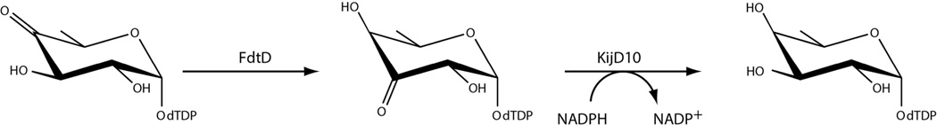 Scheme 3