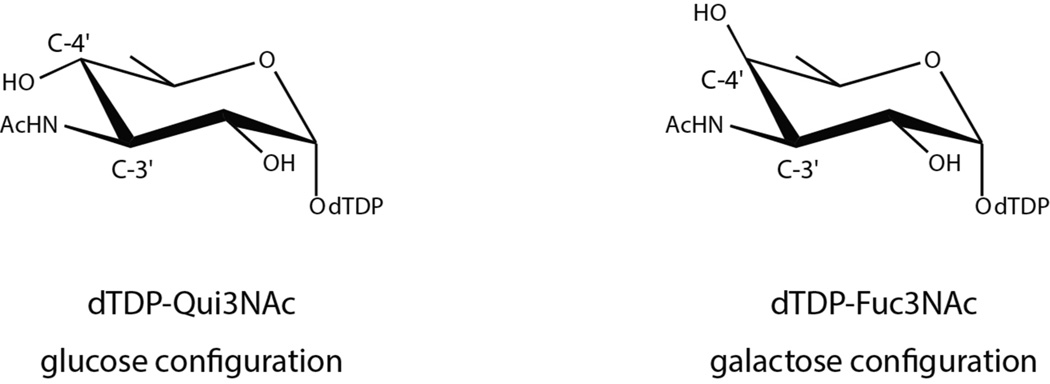 Scheme 4