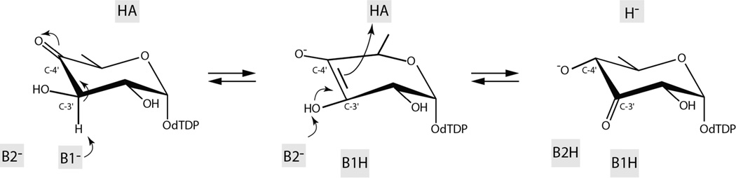 Scheme 5