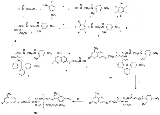 Scheme 1