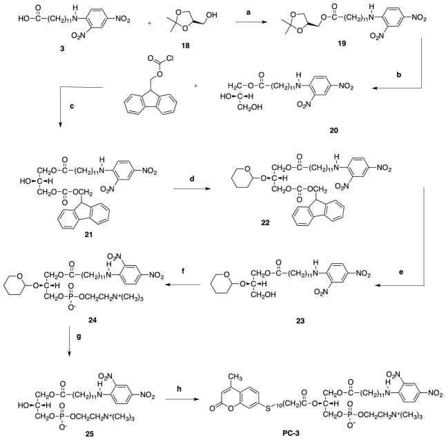 Scheme 3