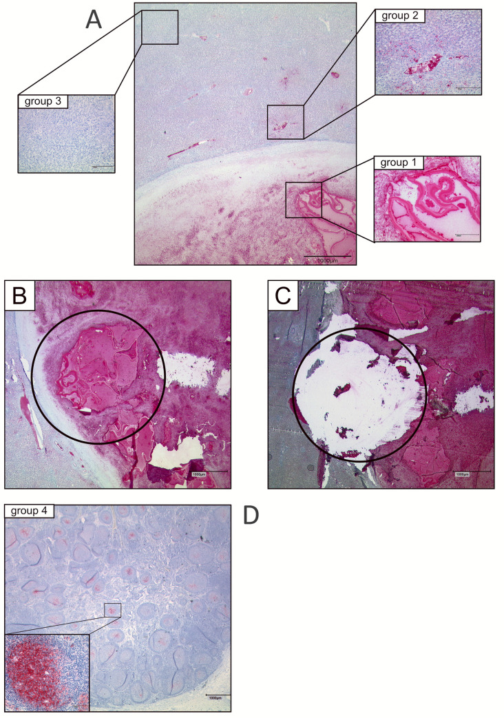 Fig 4