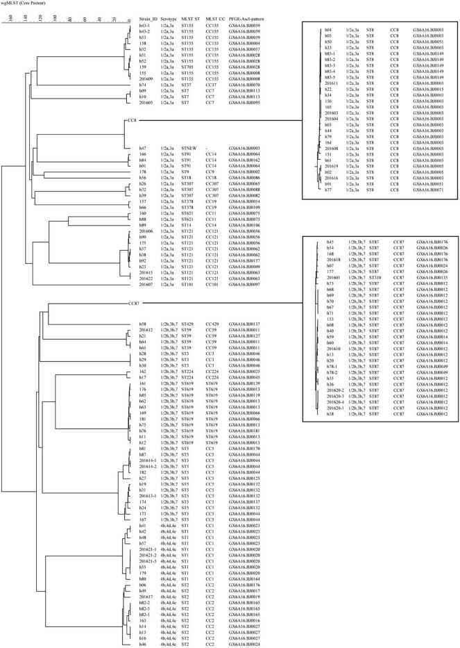 FIGURE 2