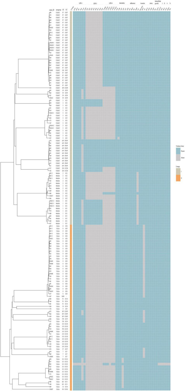 FIGURE 4