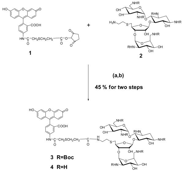 Scheme 1