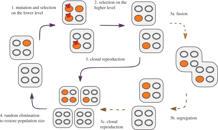 Figure 3.