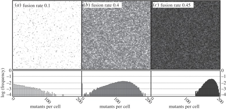 Figure 5.