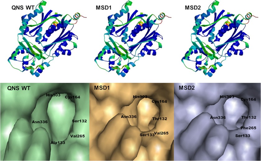 FIGURE 3.