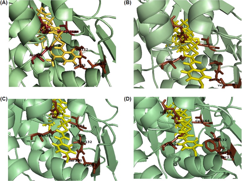 FIGURE 4.