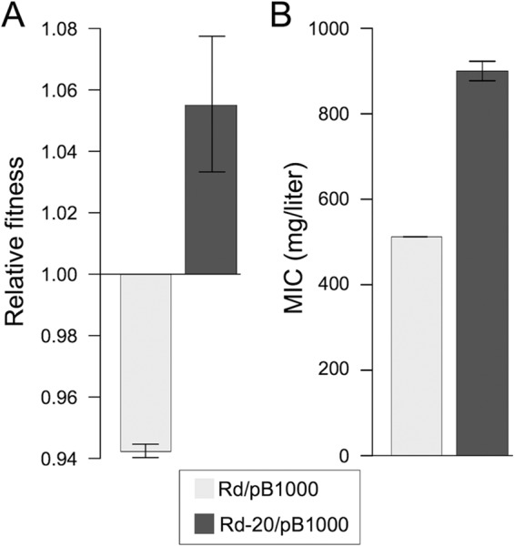 FIG 4