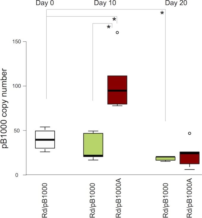 FIG 3