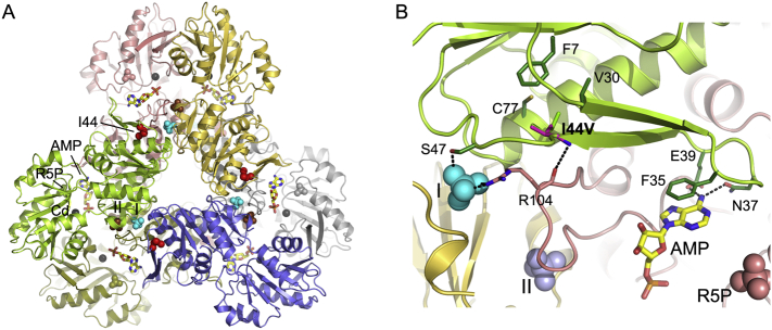 Fig. 2