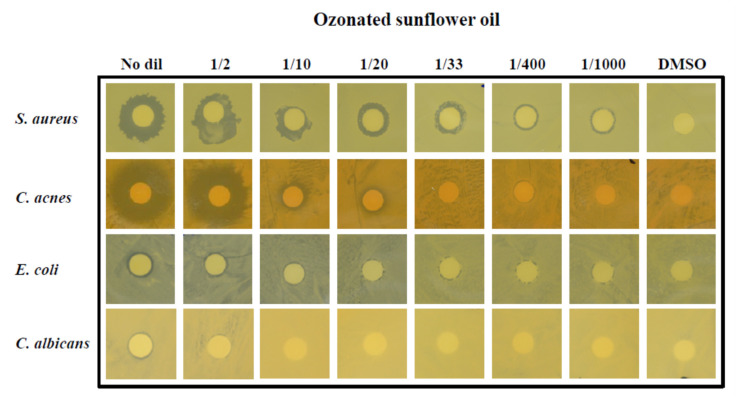 Figure 10