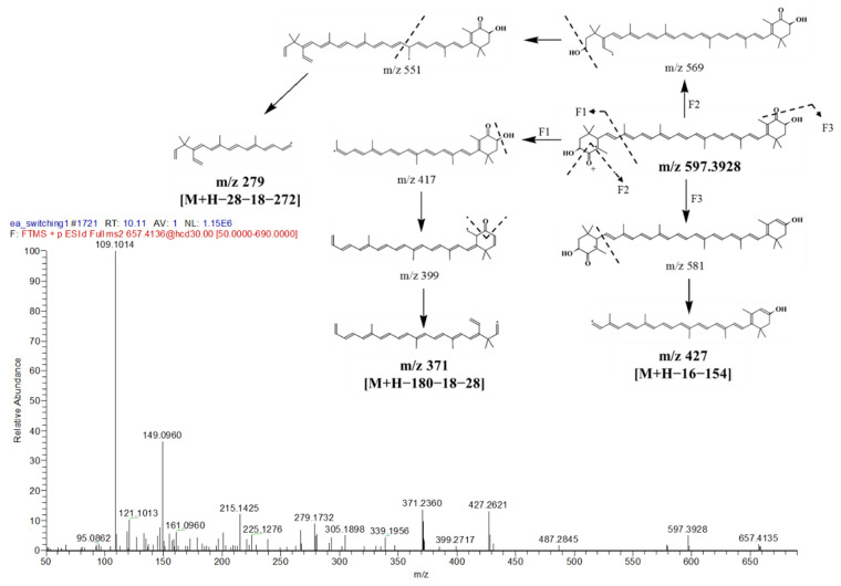 Figure 9