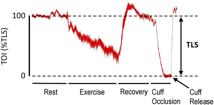 Figure 3