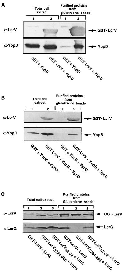 FIG. 5