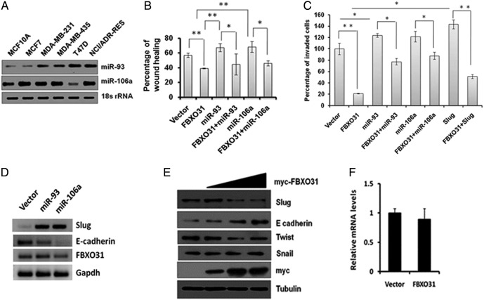 Supplementary Figure 3