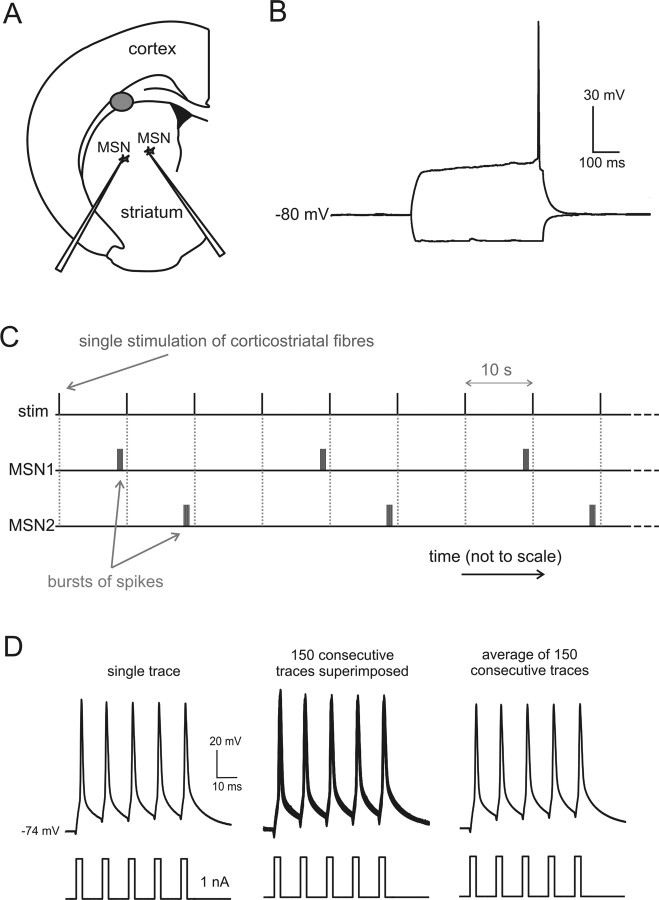 Figure 1.