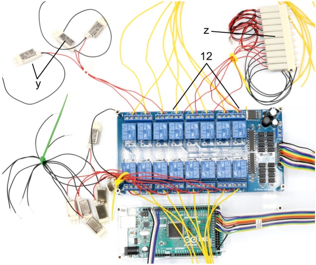 Appendix 1—figure 11.