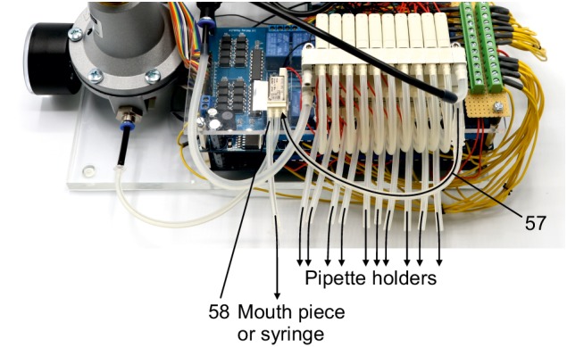 Appendix 1—figure 25.