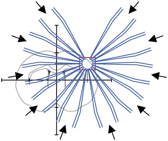 Appendix 2—figure 9.