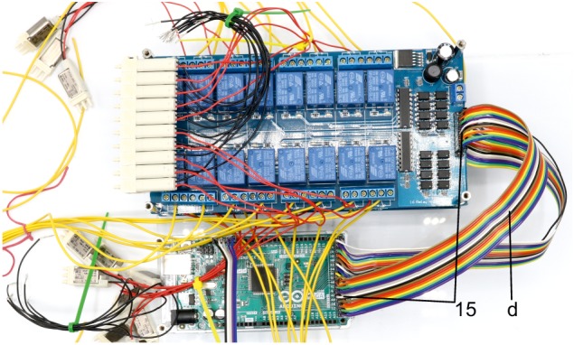 Appendix 1—figure 13.