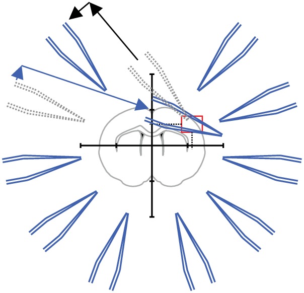 Appendix 2—figure 8.